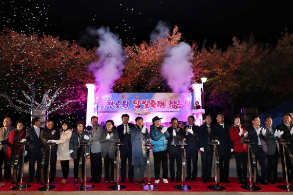 2017 송현공원 달빛축제 점등식